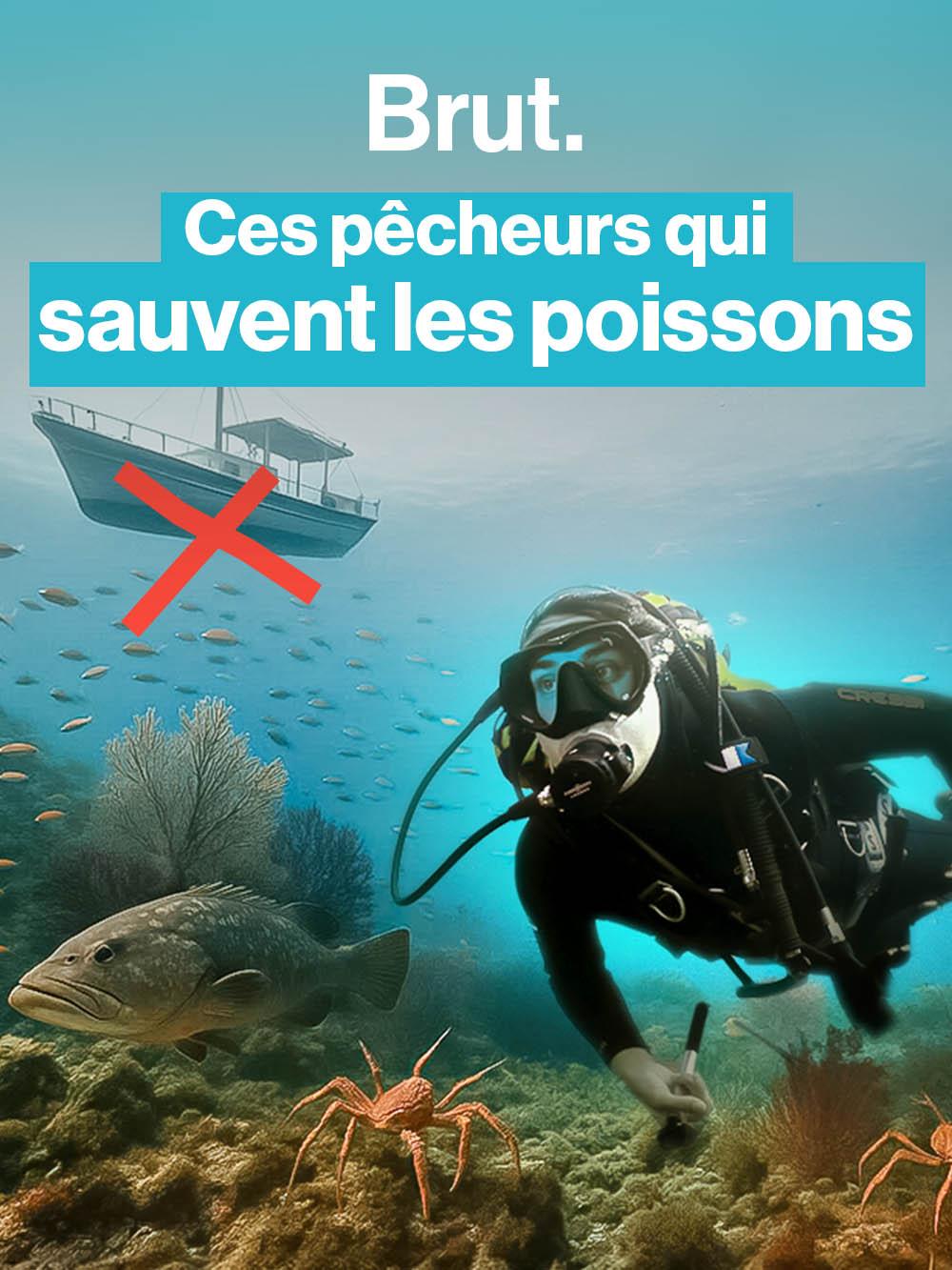 Ils ont décidé de s'auto-interdire de pêcher pour préserver les poissons de la Méditerranée