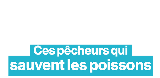 Ils ont décidé de s'auto-interdire de pêcher pour préserver les poissons de la Méditerranée