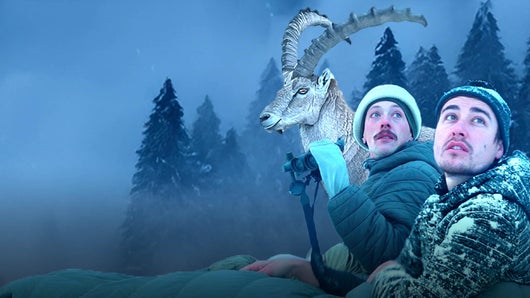 Avec le photographe des neiges sur les traces du roi de la montagne