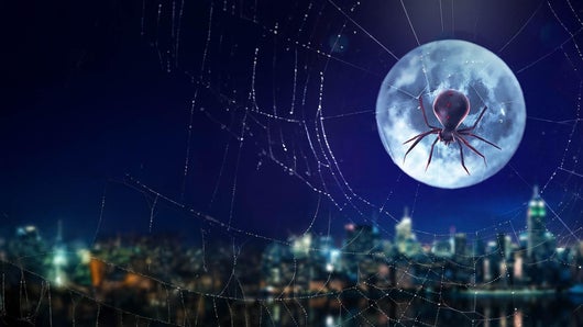 Dans les secrets des films "Spider-Man"