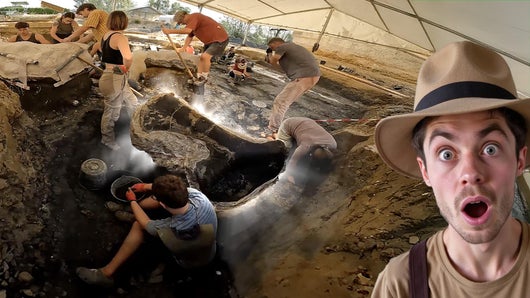 En immersion à la recherche des dinosaures