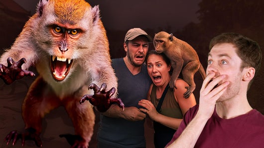Quand les macaques prennent le contrôle…