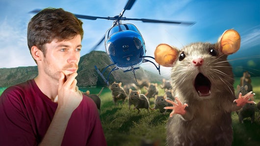 Au bout du monde, la France chasse les rats en hélicoptère