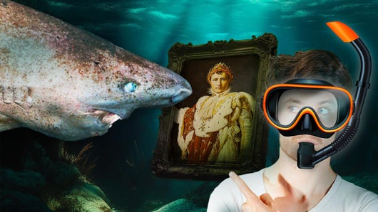 Quels sont les secrets de ce mystérieux requin qui résiste aux siècles ?