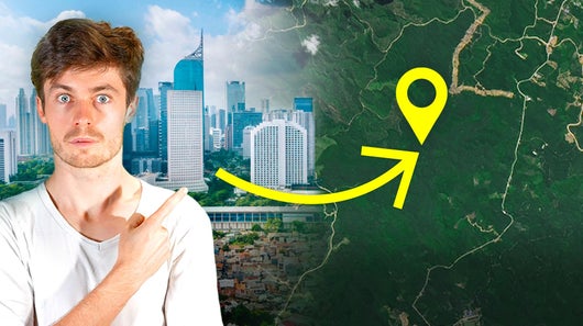 Une capitale futuriste géante… en pleine forêt ?!