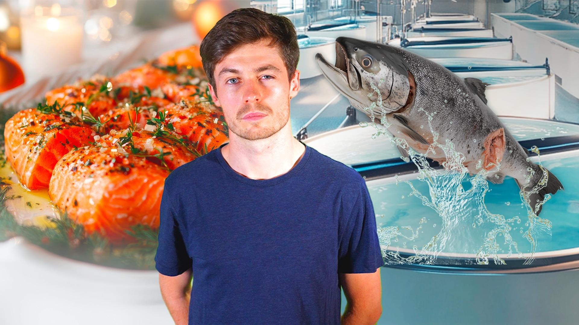 Du saumon "terrestre" dans nos assiettes ?
