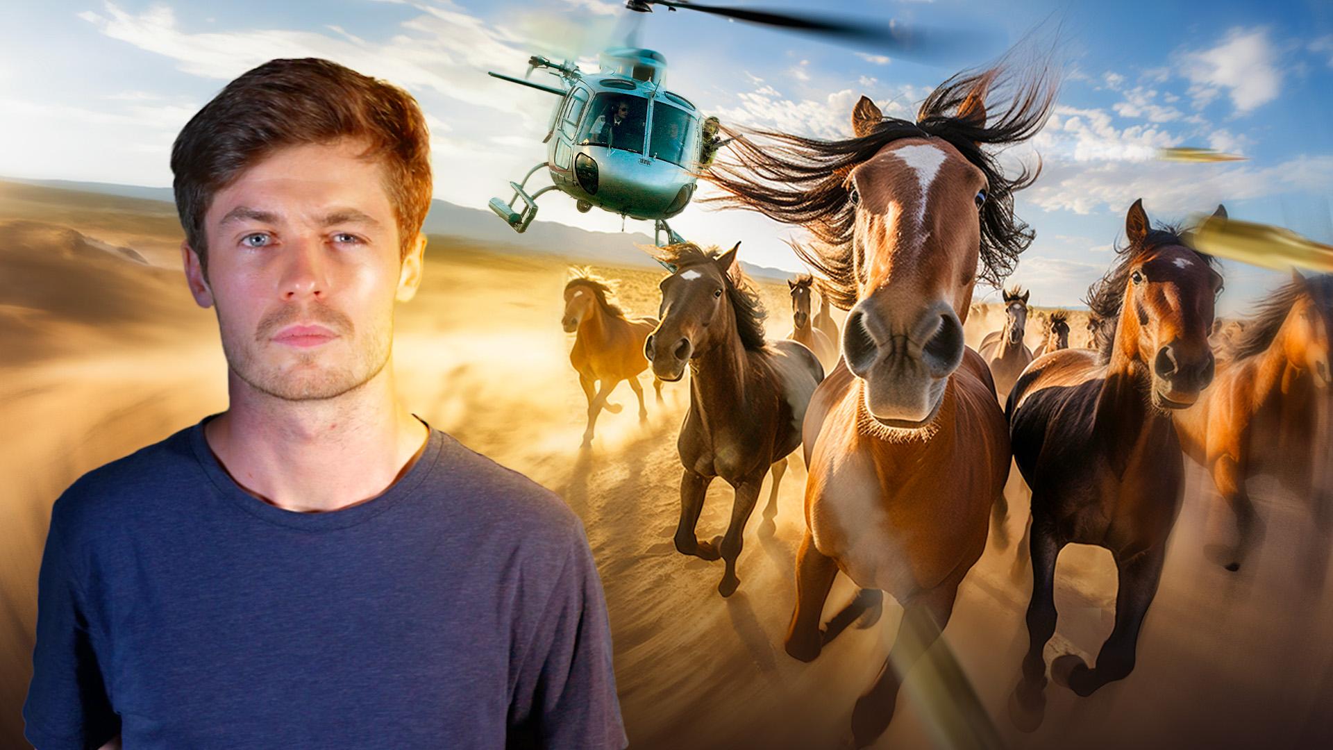Pourquoi ce pays est en guerre contre les chevaux