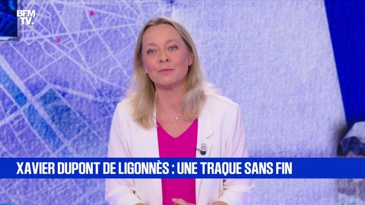 L'énigme Xavier Dupont de Ligonnès
