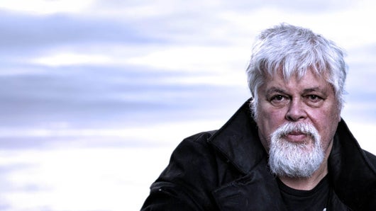 Paul Watson : comment devenir un pirate écolo