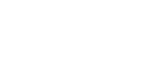 Street Reporter