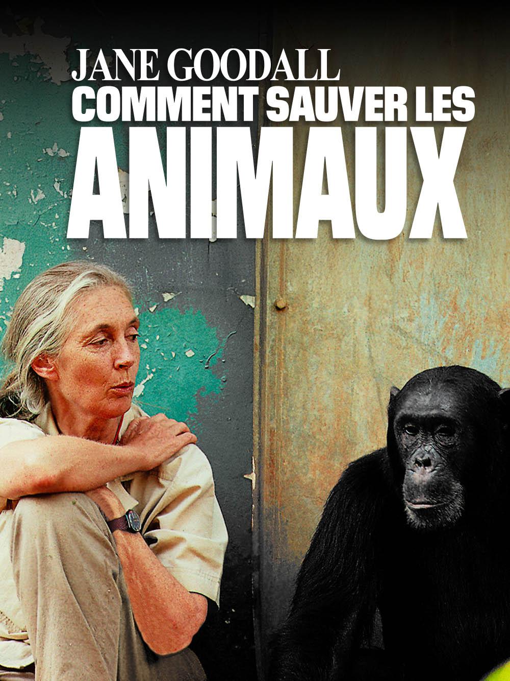 Jane Goodall - Comment sauver les animaux