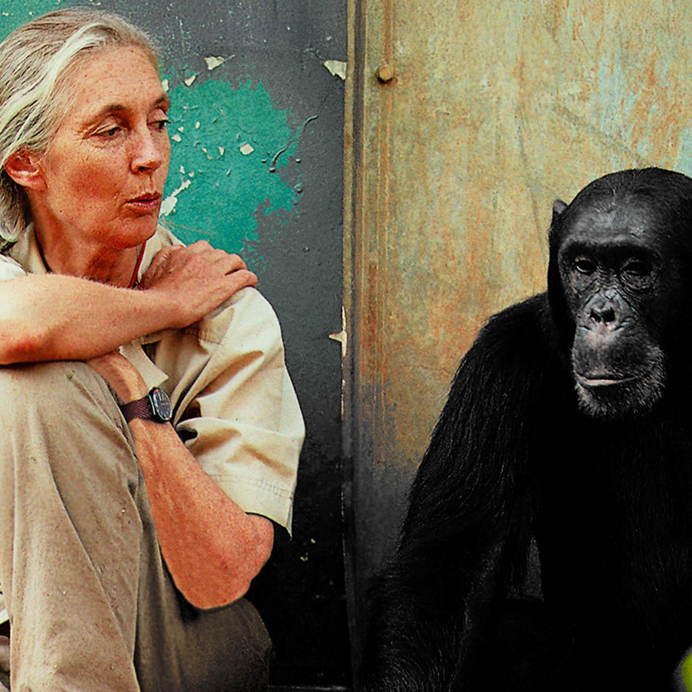 Jane Goodall - Comment sauver les animaux