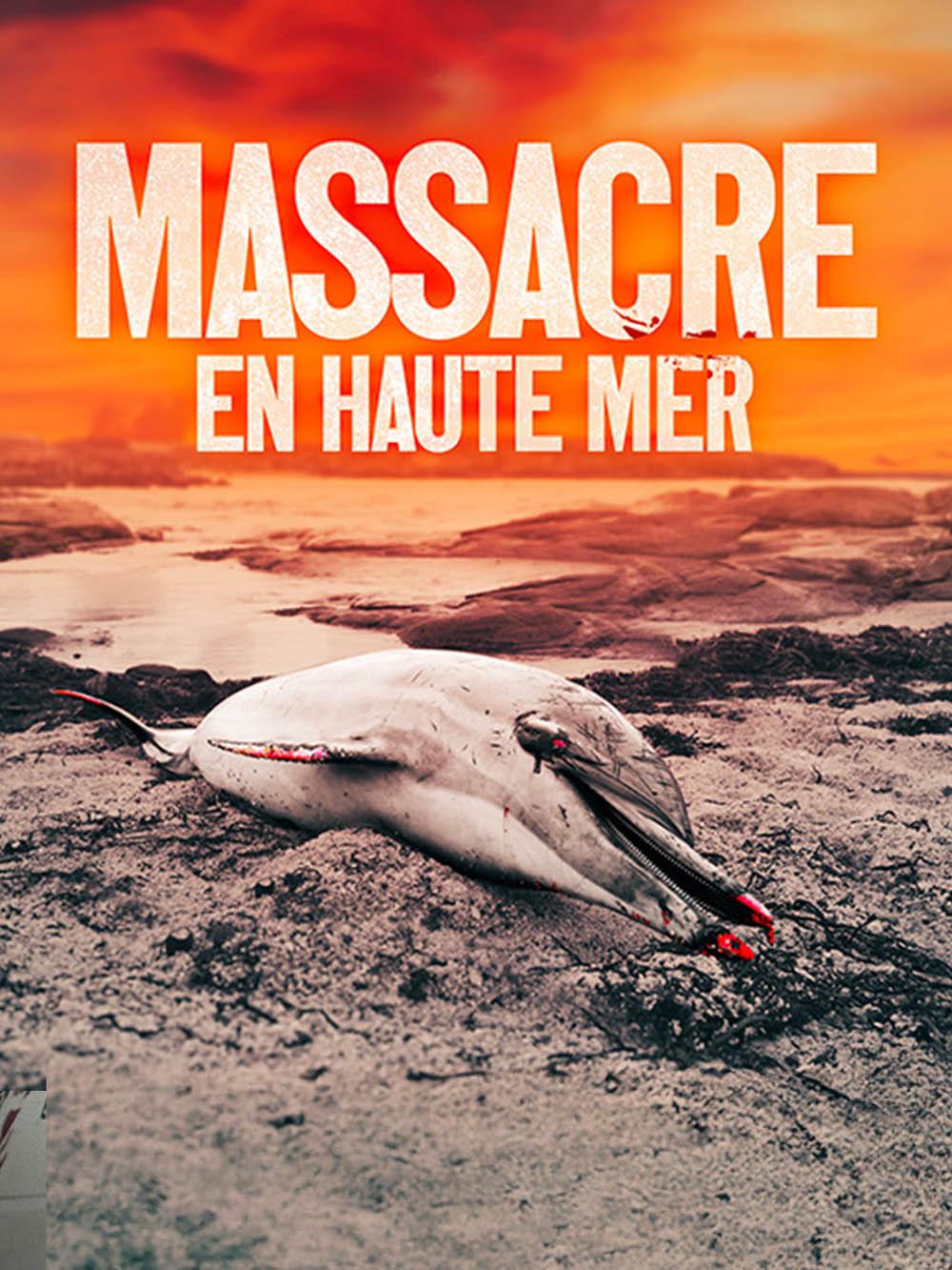 France : le massacre des dauphins