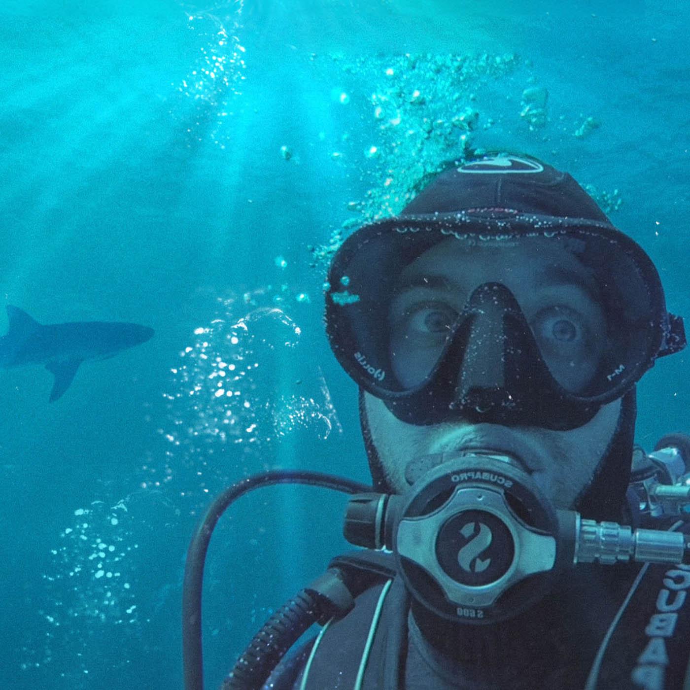 Requin