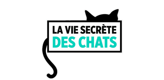 La vie secrète des chats
