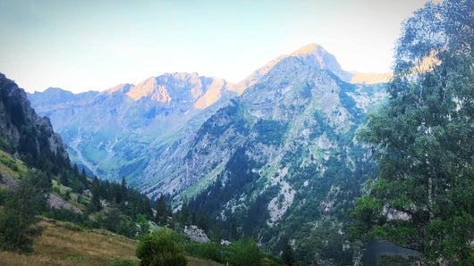 Cette réserve dans les Alpes est préservée de toute activité humaine
