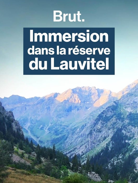 Cette réserve dans les Alpes est préservée de toute activité humaine