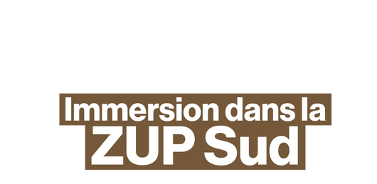 Immersion dans la ZUP Sud de Nîmes