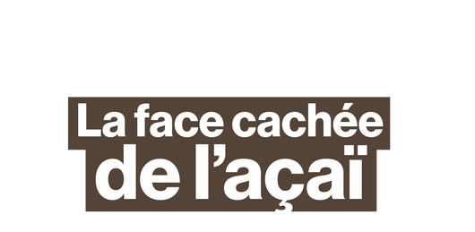 Ce qui se cache derrière votre bowl d’açaï - Brut en Amazonie