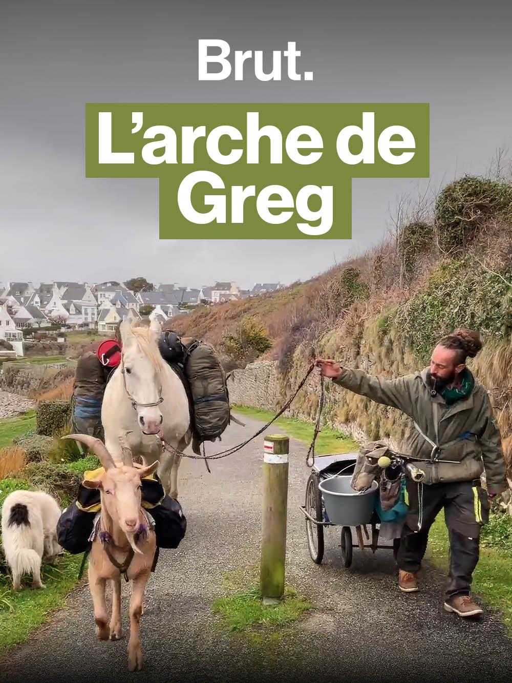 Depuis 15 mois, il marche avec ses animaux à travers la France