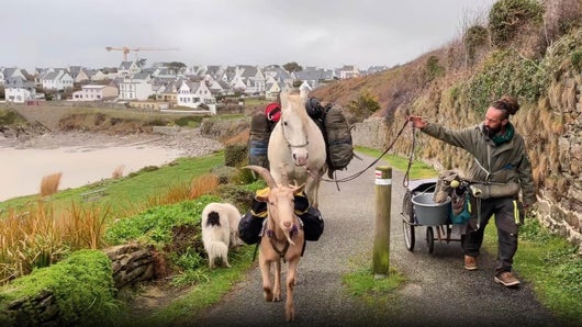 Depuis 15 mois, il marche avec ses animaux à travers la France