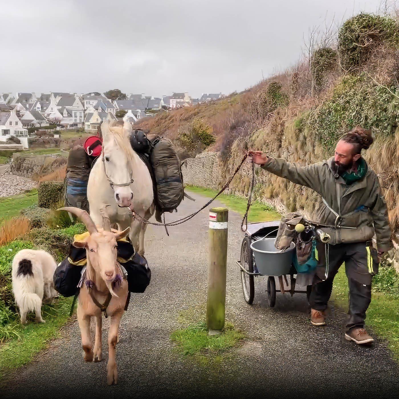 Depuis 15 mois, il marche avec ses animaux à travers la France