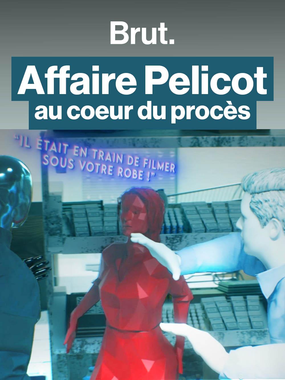 Retour sur le procès Pelicot, une affaire historique.
