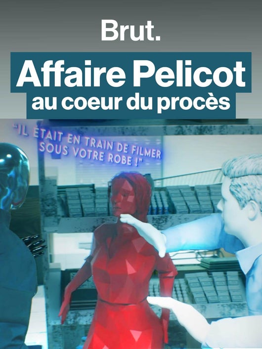 Retour sur le procès Pelicot, une affaire historique.