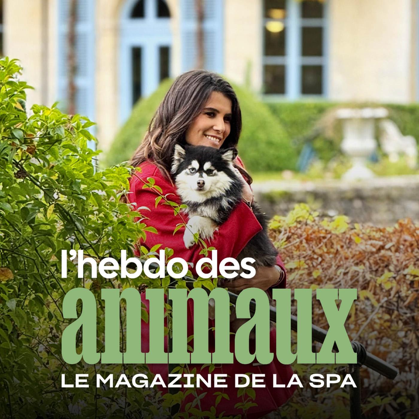 L'hebdo des animaux