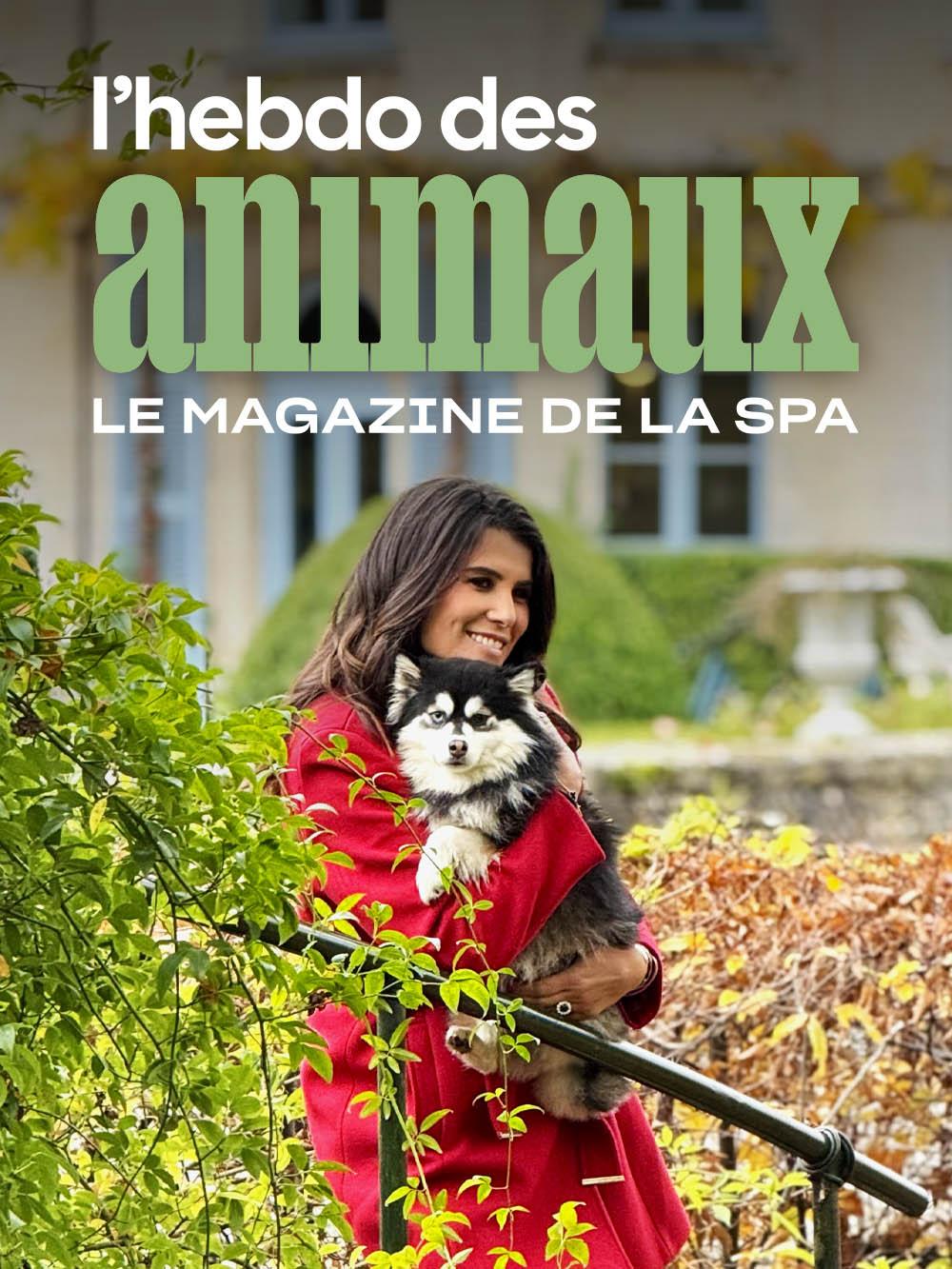L'hebdo des animaux