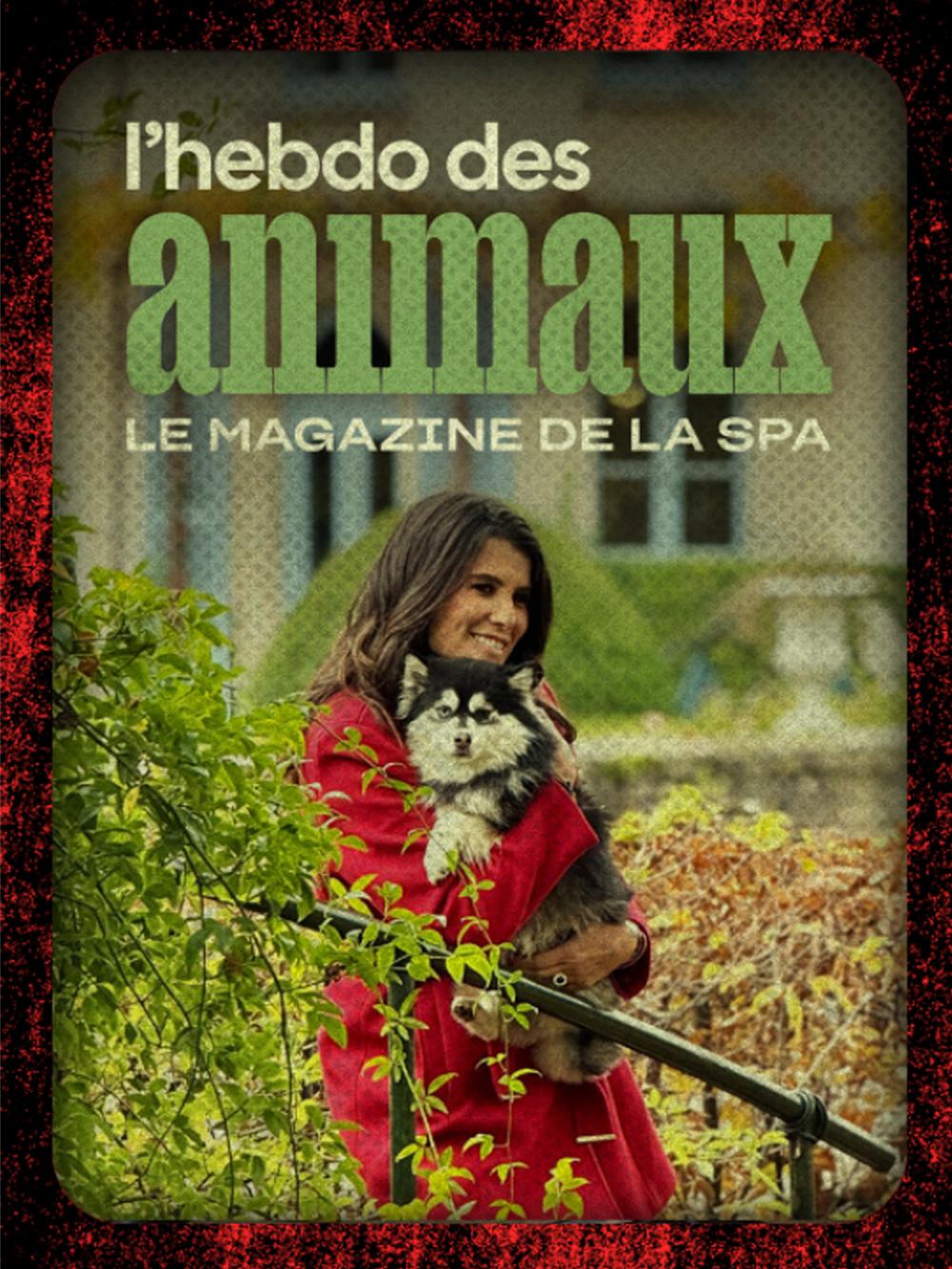 L'hebdo des animaux