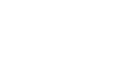 Lady Di : enquête sur un destin tragique