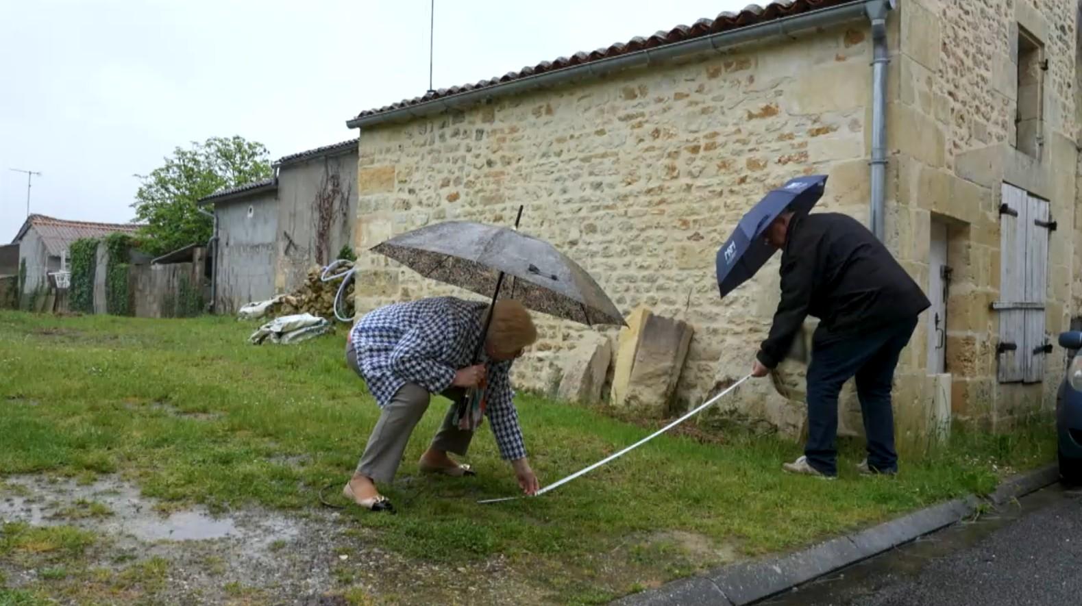 Rivalités toxiques