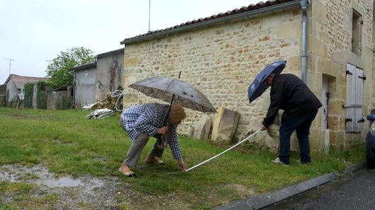 Rivalités toxiques