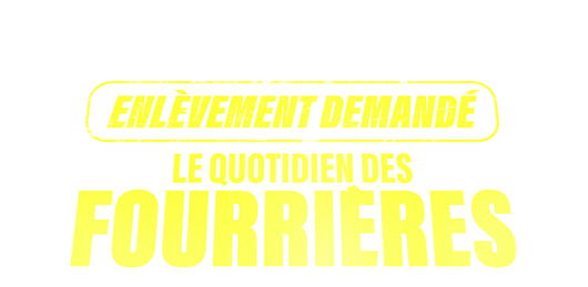 Enlèvement demandé : le quotidien des fourrières