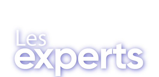 Les Experts