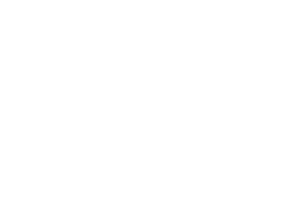 Les Experts