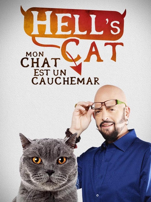 Hell's cat : mon chat est un cauchemar