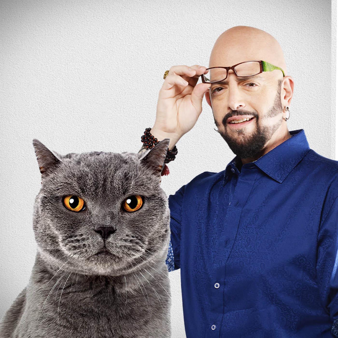 Hell's cat : mon chat est un cauchemar