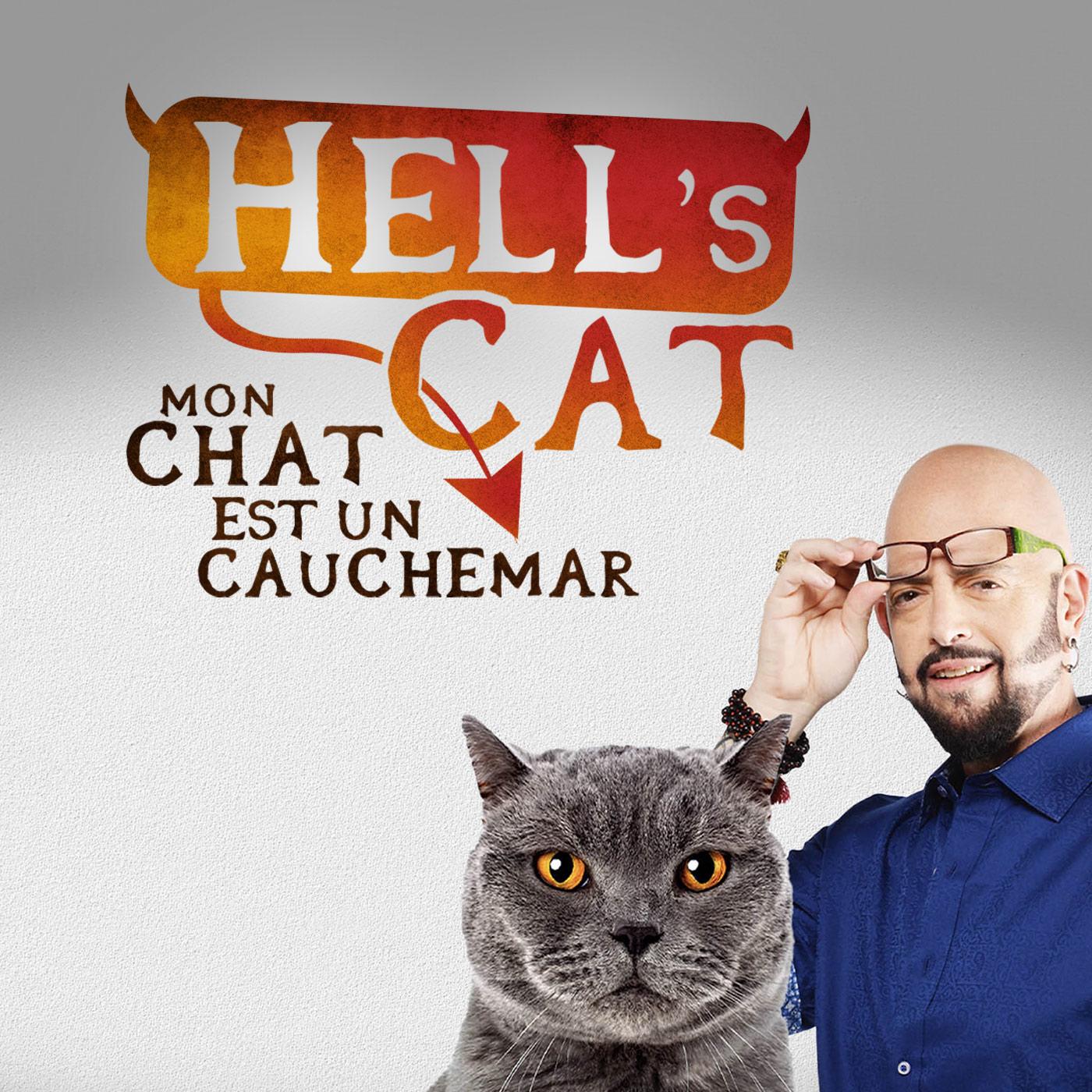Hell's cat : mon chat est un cauchemar