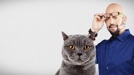 Hell's cat : mon chat est un cauchemar