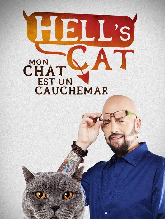 Hell's cat : mon chat est un cauchemar