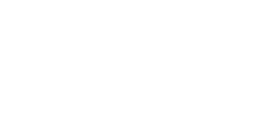 Un hologramme pour le roi