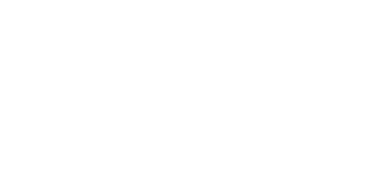Ice storm tempête polaire