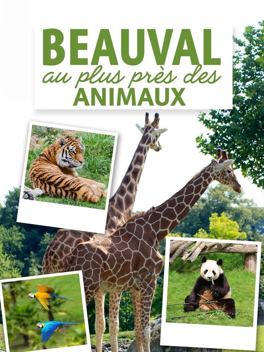 Beauval, au plus près des animaux