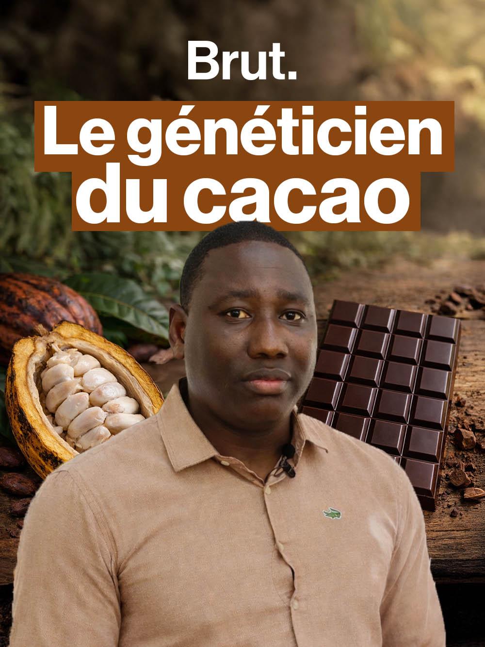 Ce généticien essaie de décarboner la filière cacao en Guyane