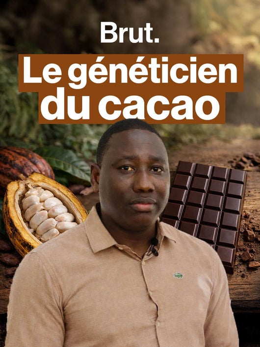 Ce généticien essaie de décarboner la filière cacao en Guyane