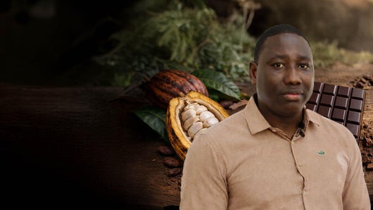 Ce généticien essaie de décarboner la filière cacao en Guyane