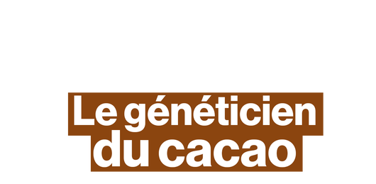 Ce généticien essaie de décarboner la filière cacao en Guyane