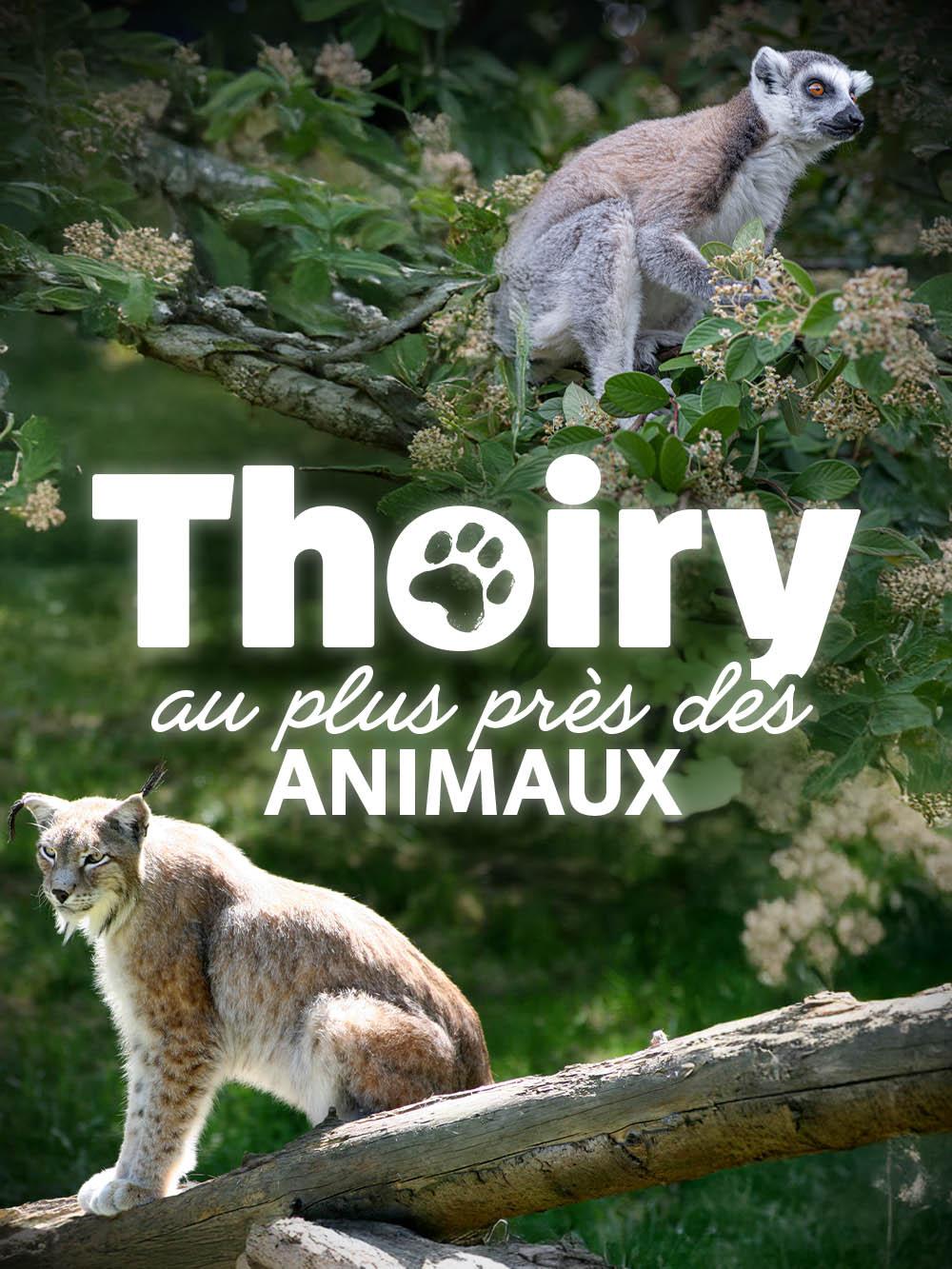 Thoiry : au plus près des animaux